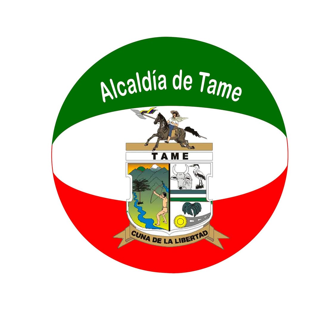 MIGUEL BASTOS ALCALDE